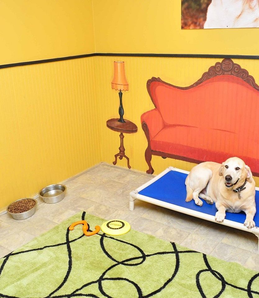 Dog boarding in Smyrna Dog daycare in Smyrna Dog grooming in Smyrna Dog baths in Smyrna