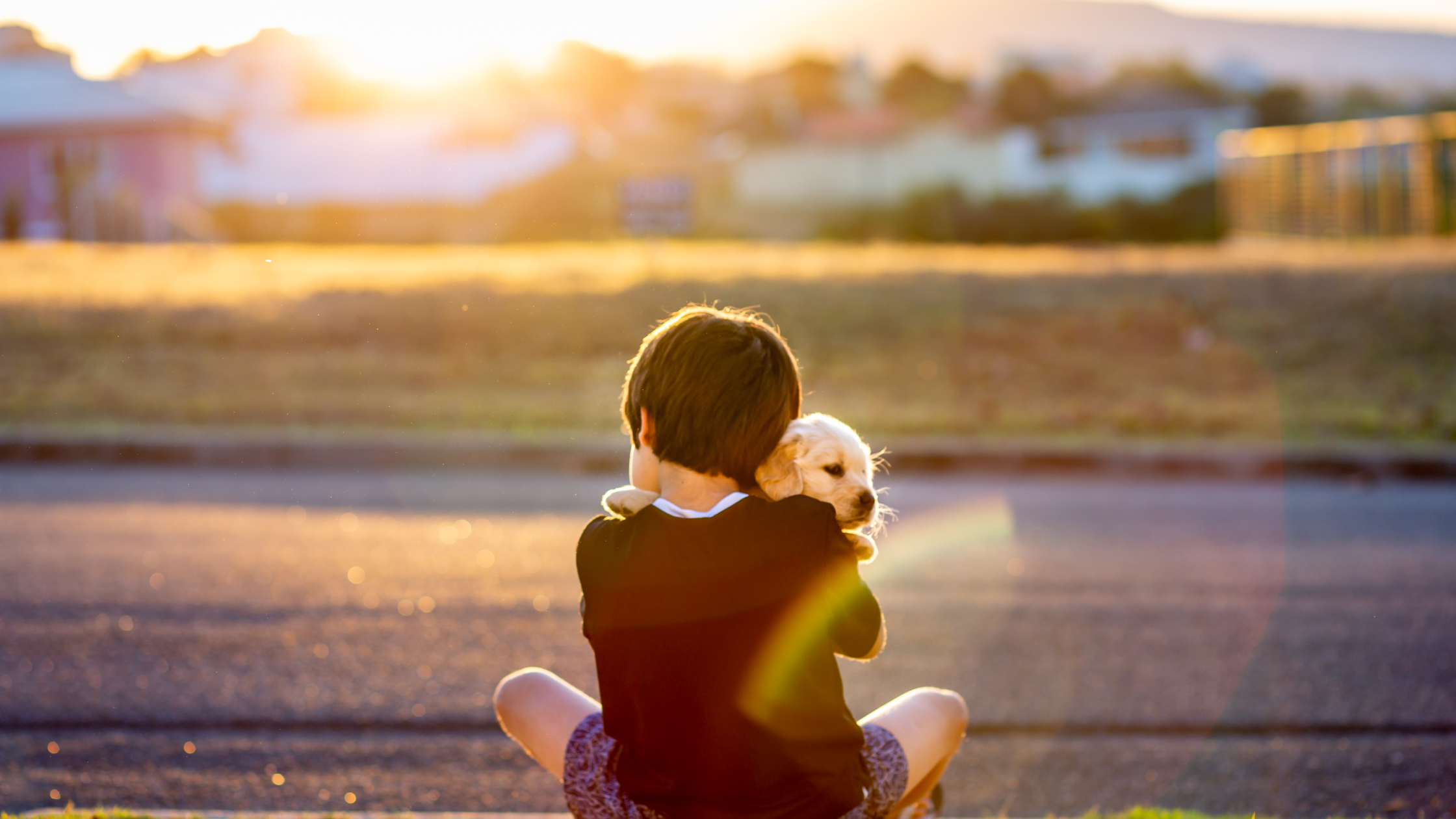 Back-to-School: How to Prepare Your Dog for Changes in Routine