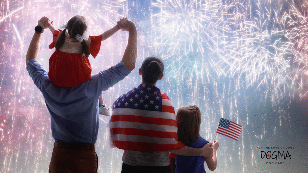 dog safety 4th of July