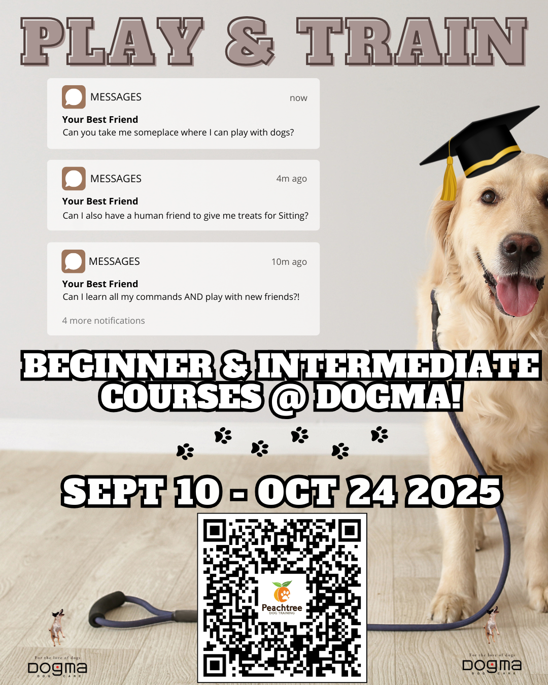 Dogma Enrichment Training