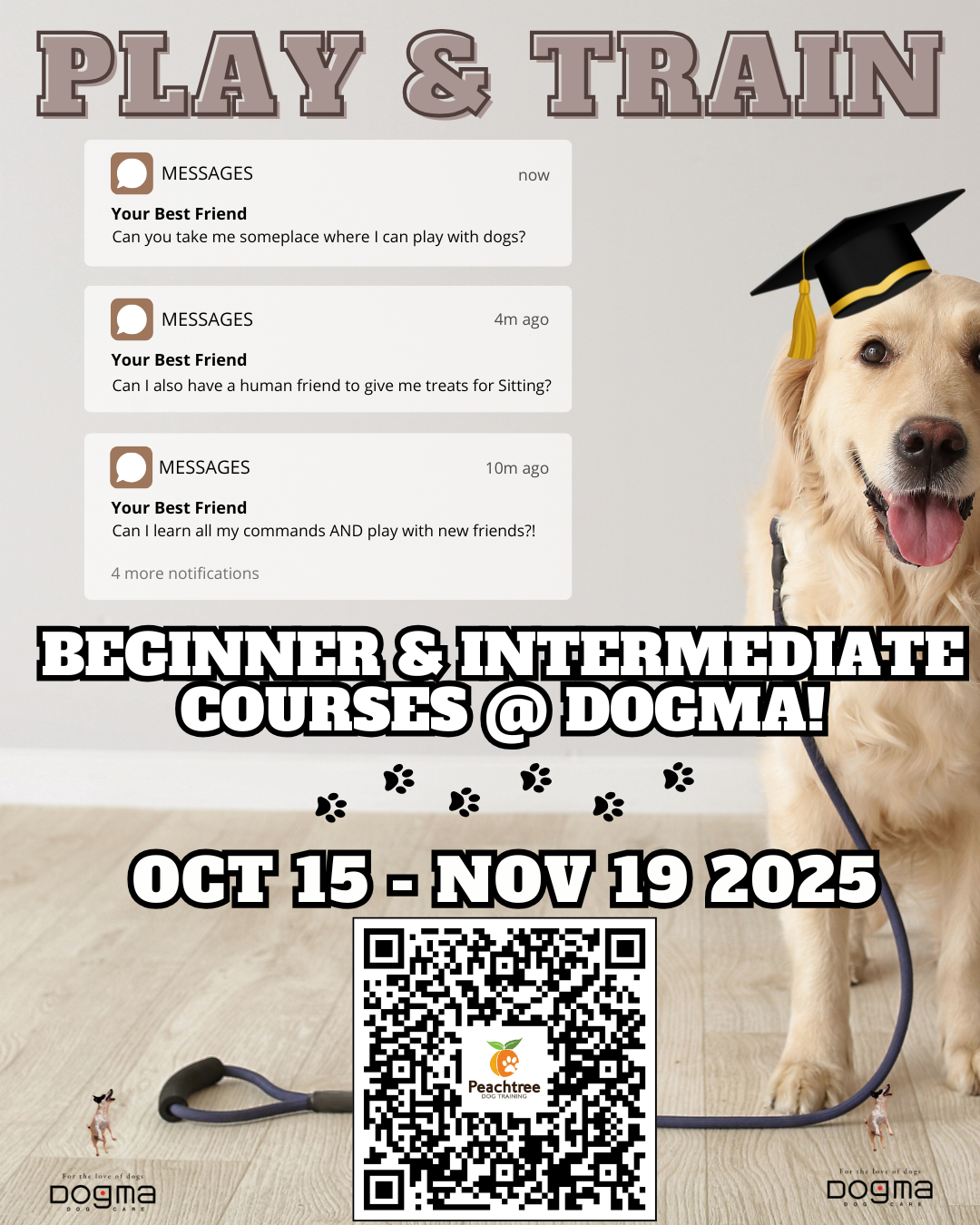 Dogma Enrichment Training