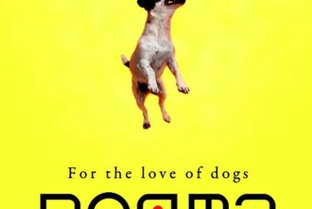 Dog Daycare Smyrna GA: Signs Your Dog Would Benefit from Daycare
