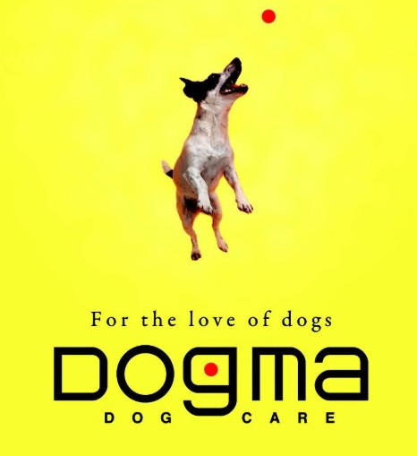 Dog Daycare Smyrna GA: Signs Your Dog Would Benefit from Daycare
