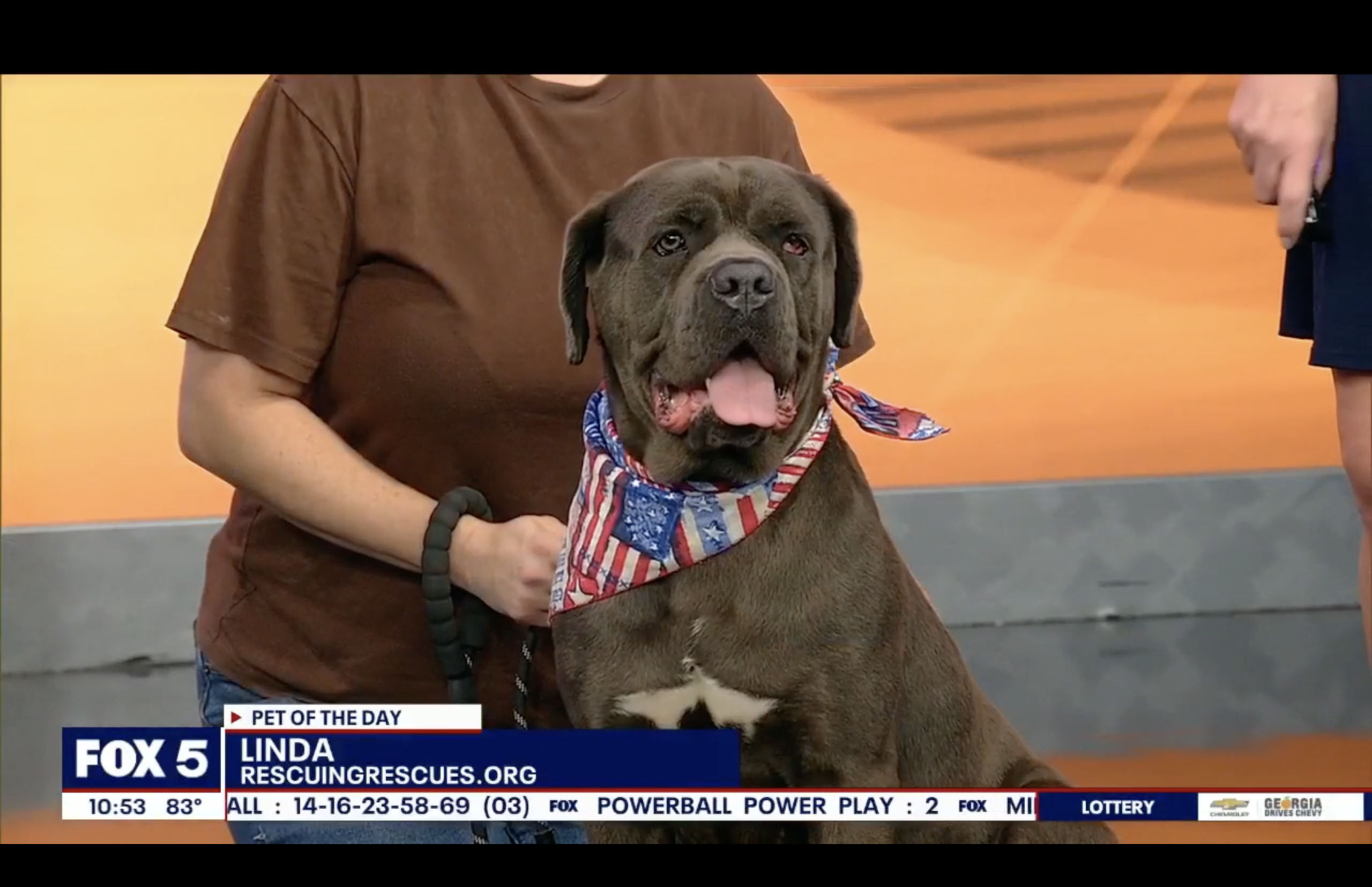 Meet Linda – Fox 5 Pet of the Day